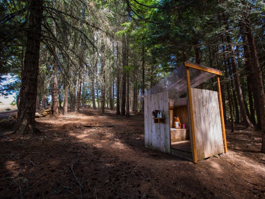 banheiro-escondido-floresta