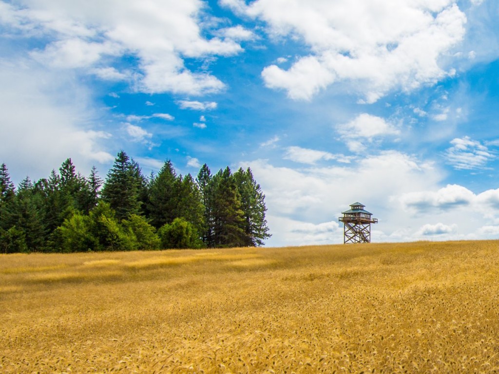 torre-de-longe